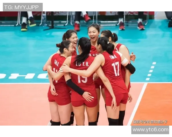 上海排球队战术表现深度分析与数据解读探讨