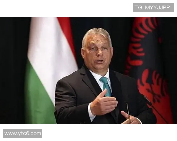 专访周丽：探寻她在篮球领域取得成功的秘诀与心路历程