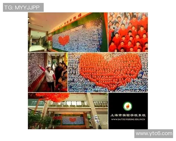 重庆排球队防守革新之路探索与实践的深度剖析与展望 重庆排球队防守革新之路探索与实践的深度剖析与展望