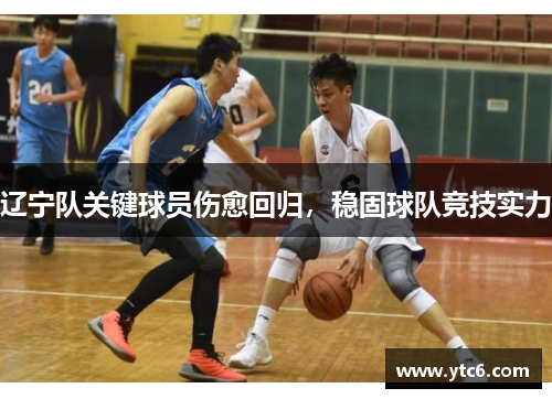 辽宁队关键球员伤愈回归，稳固球队竞技实力